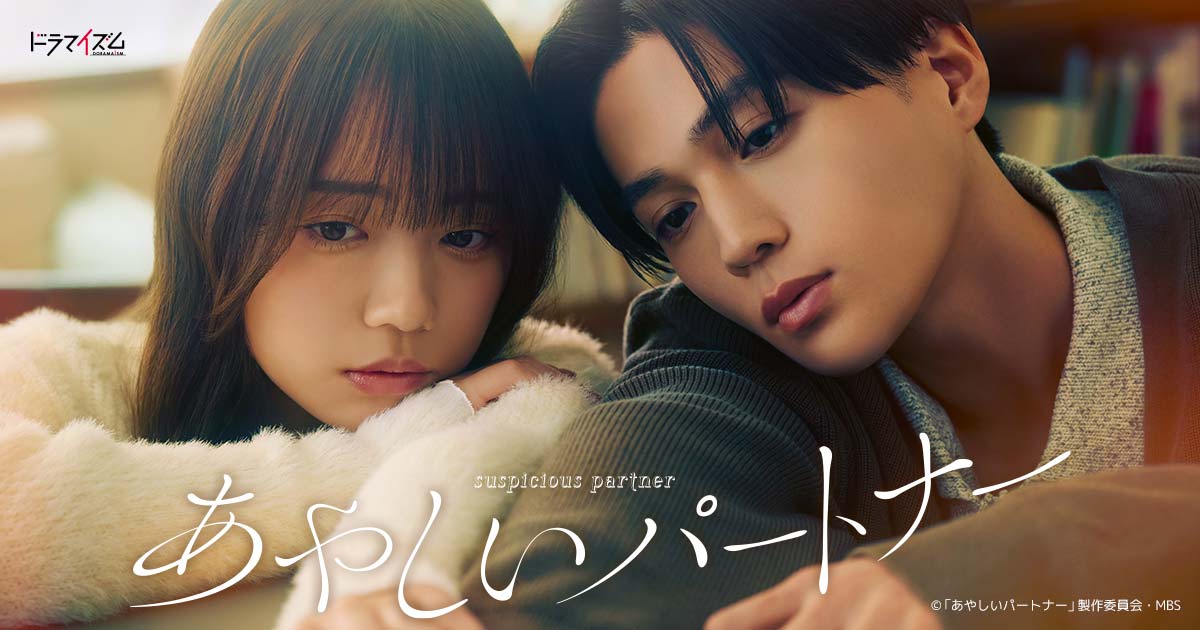 あやしいパートナー
